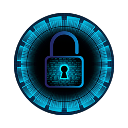 Network/Cyber security